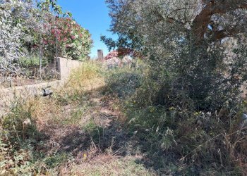 Giardino - Rustico contrada Tramostera
 
snc, Chiaramonte Gulfi - foto 16