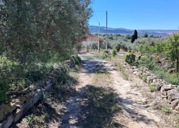 Vista delle montagne - Rustico contrada Tramostera
 
snc, Chiaramonte Gulfi - foto 17