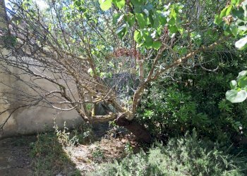 Giardino - Rustico contrada Tramostera
 
snc, Chiaramonte Gulfi - foto 20