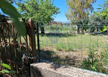 Giardino - Rustico contrada Tramostera
 
snc, Chiaramonte Gulfi - foto 23