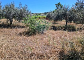 Vista delle montagne - Rustico contrada Tramostera
 
snc, Chiaramonte Gulfi - foto 41