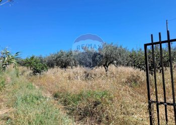 Non correlato - Rustico contrada Tramostera
 
snc, Chiaramonte Gulfi - foto 50