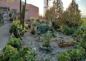 Giardino - Villa quattro cappelle
 
2/A, Chiaramonte Gulfi - foto 6