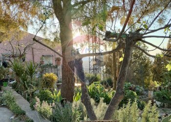 Giardino - Villa quattro cappelle
 
2/A, Chiaramonte Gulfi - foto 7