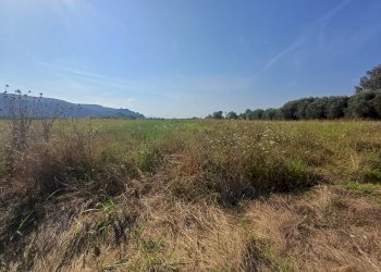 Foto 1 - Terreno agricolo via del capannone
1, Vecchiano - foto 1