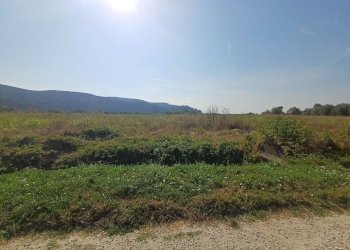 Foto 6 - Terreno agricolo via del capannone
1, Vecchiano - foto 6