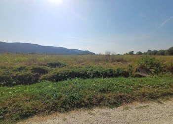 Foto 7 - Terreno agricolo via del capannone
1, Vecchiano - foto 7