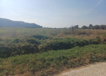 Foto 8 - Terreno agricolo via del capannone
1, Vecchiano - foto 8