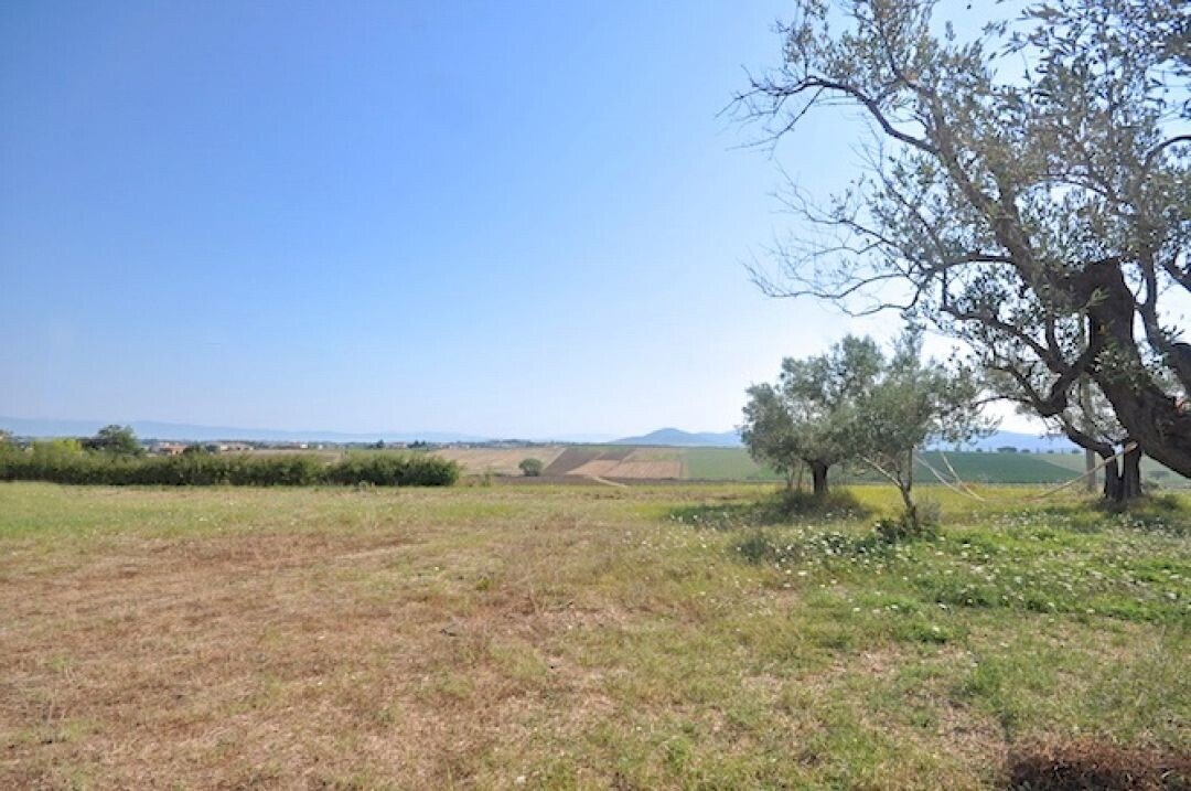 Rustic Paciano - photo 3