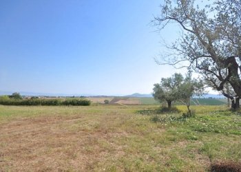 Rustico Paciano - foto 3