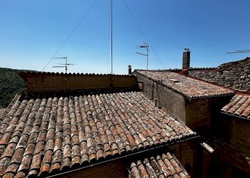 Rustico Parrano - foto 2