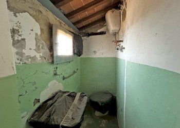 Rustico Parrano - foto 8