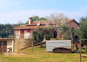 Foto 1 - Rustico Magliano in Toscana - foto 1