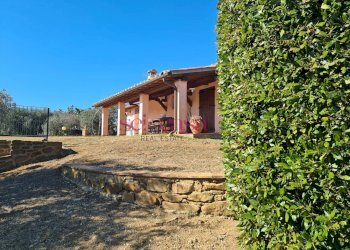 Foto 6 - Rustico Magliano in Toscana - foto 6