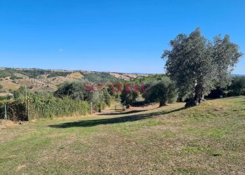 Foto 12 - Rustico Magliano in Toscana - foto 12