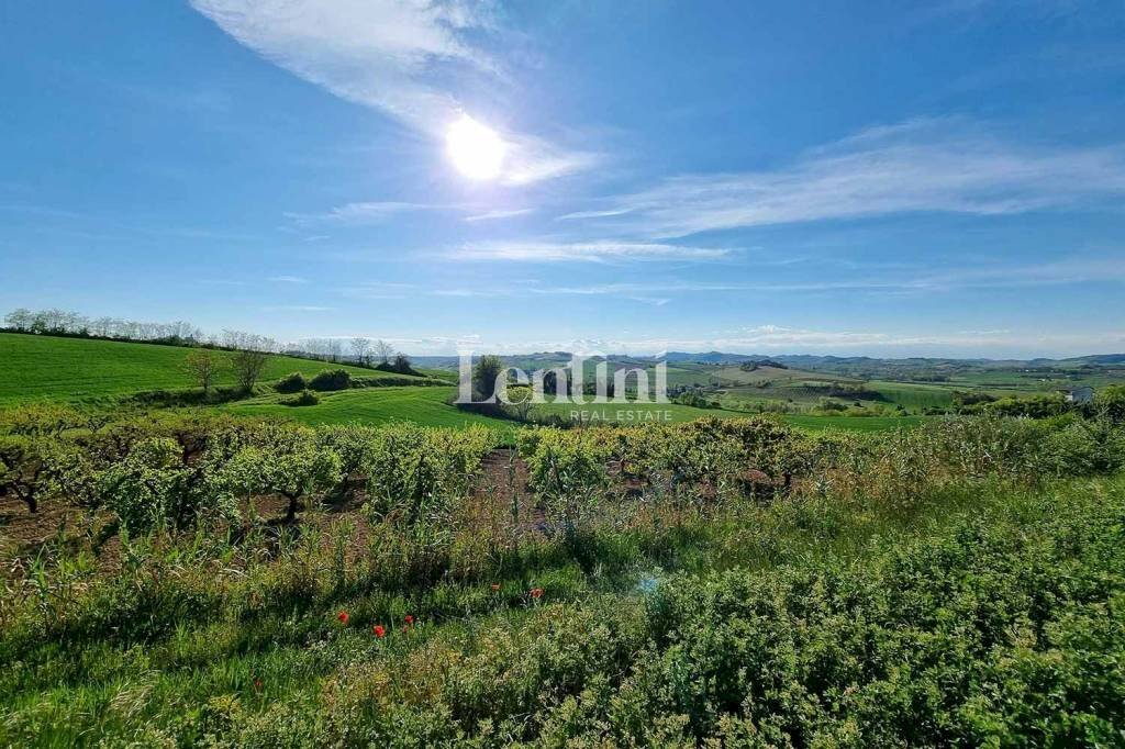 Terreno - Terreno edificabile via Rocca, 3, Camagna Monferrato - foto 2