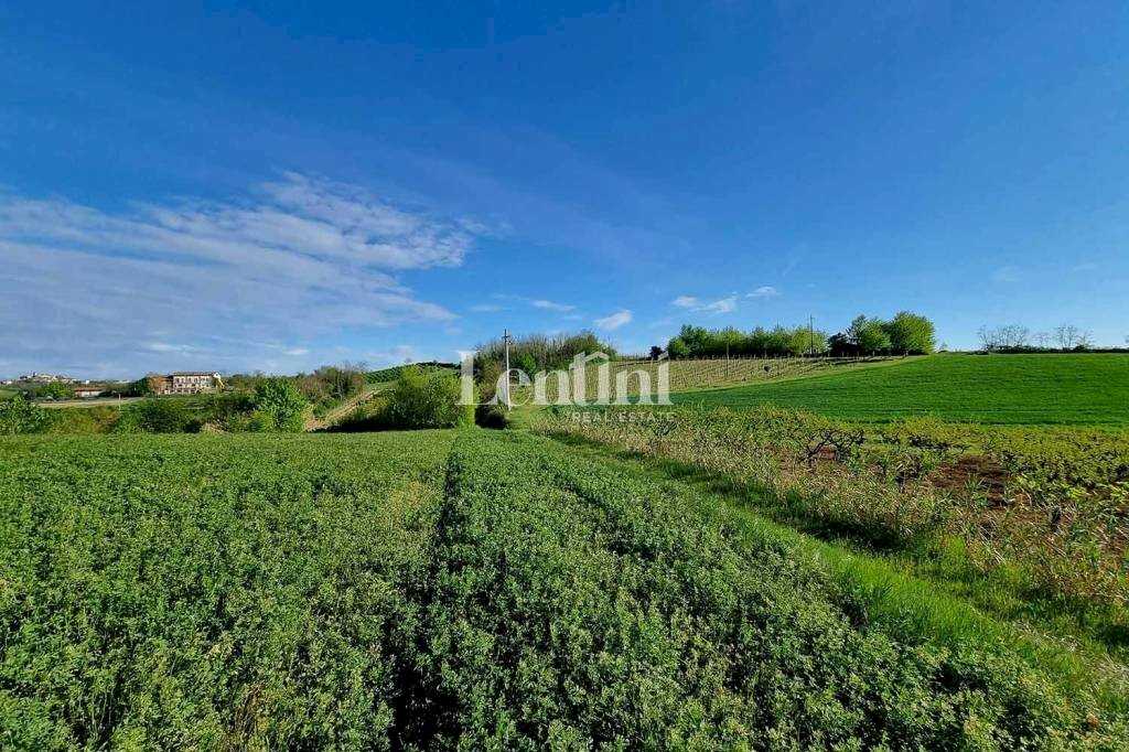 Terreno - Terreno edificabile via Rocca, 3, Camagna Monferrato - foto 3