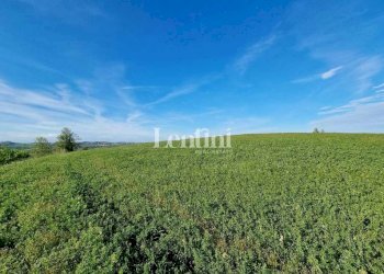 Terreno - Terreno edificabile via Rocca, 3, Camagna Monferrato - foto 1