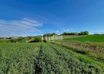 Terreno - Terreno edificabile via Rocca, 3, Camagna Monferrato - foto 3