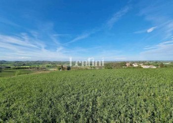 Terreno - Terreno edificabile via Rocca, 3, Camagna Monferrato - foto 4