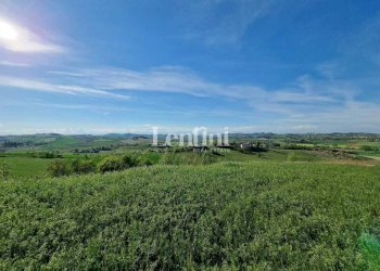 Terreno - Terreno edificabile via Rocca, 3, Camagna Monferrato - foto 5
