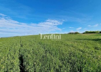 Terreno - Terreno edificabile via Rocca, 3, Camagna Monferrato - foto 6