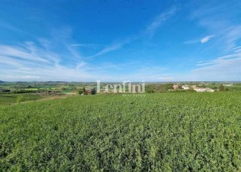 Terreno - Terreno edificabile via Rocca, 3, Camagna Monferrato - foto 7