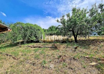 Terreno - Villa Cereseto - foto 41