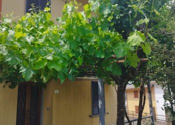 Terratetto - Terracielo Via Roncobilaccio 94, Castiglione dei Pepoli - foto 6