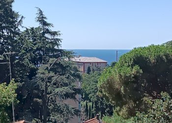 Apartment Savona (neighborhood Villetta) - photo 5