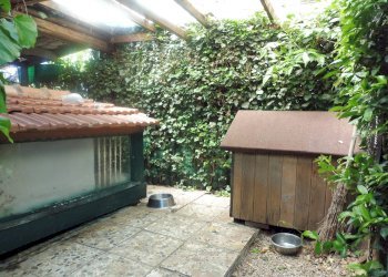 Foto 36 - Villa VIA PIANO CROCE, Pollutri - foto 36