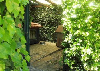 Foto 37 - Villa VIA PIANO CROCE, Pollutri - foto 37