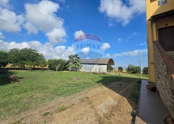 Giardino - Rustico Campiglia Marittima - foto 18