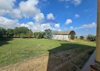 Giardino - Rustico Campiglia Marittima - foto 19
