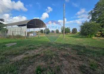 Giardino - Rustico Campiglia Marittima - foto 20