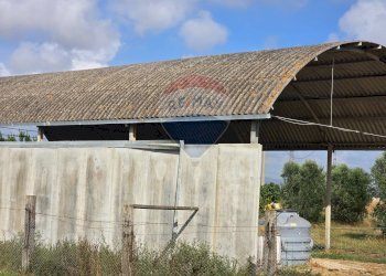 Casa all\'aperto - Rustico Campiglia Marittima - foto 23