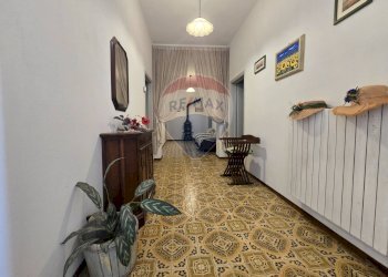 Hall / corridoio - Rustico Campiglia Marittima - foto 24