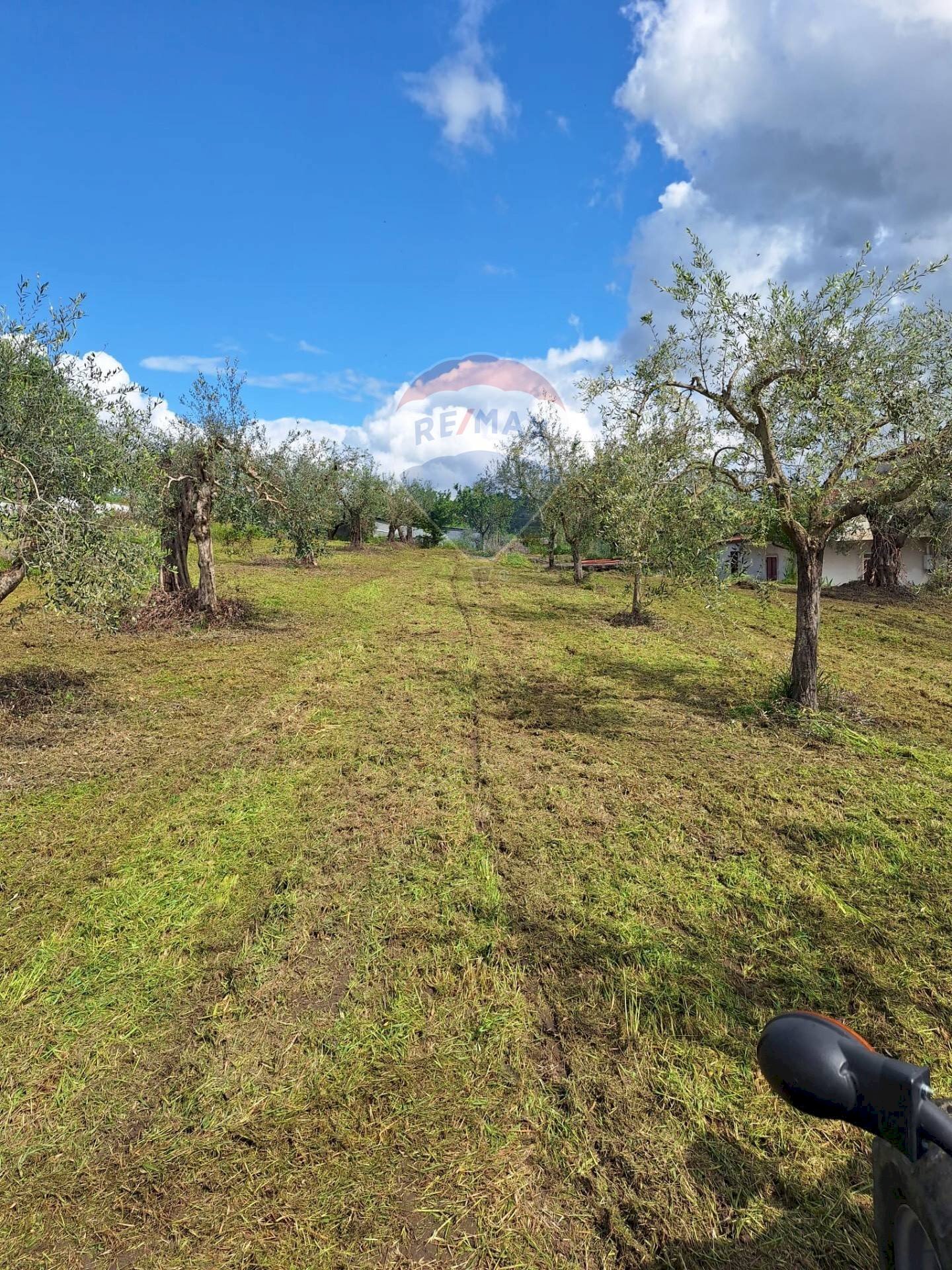 Giardino - Villa Via Monticelli
 
Snc, Castel Campagnano - foto 1