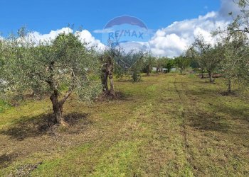 Giardino - Villa Via Monticelli
 
Snc, Castel Campagnano - foto 3