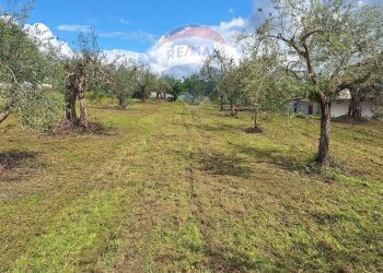 Giardino - Villa Via Monticelli
 
Snc, Castel Campagnano - foto 1