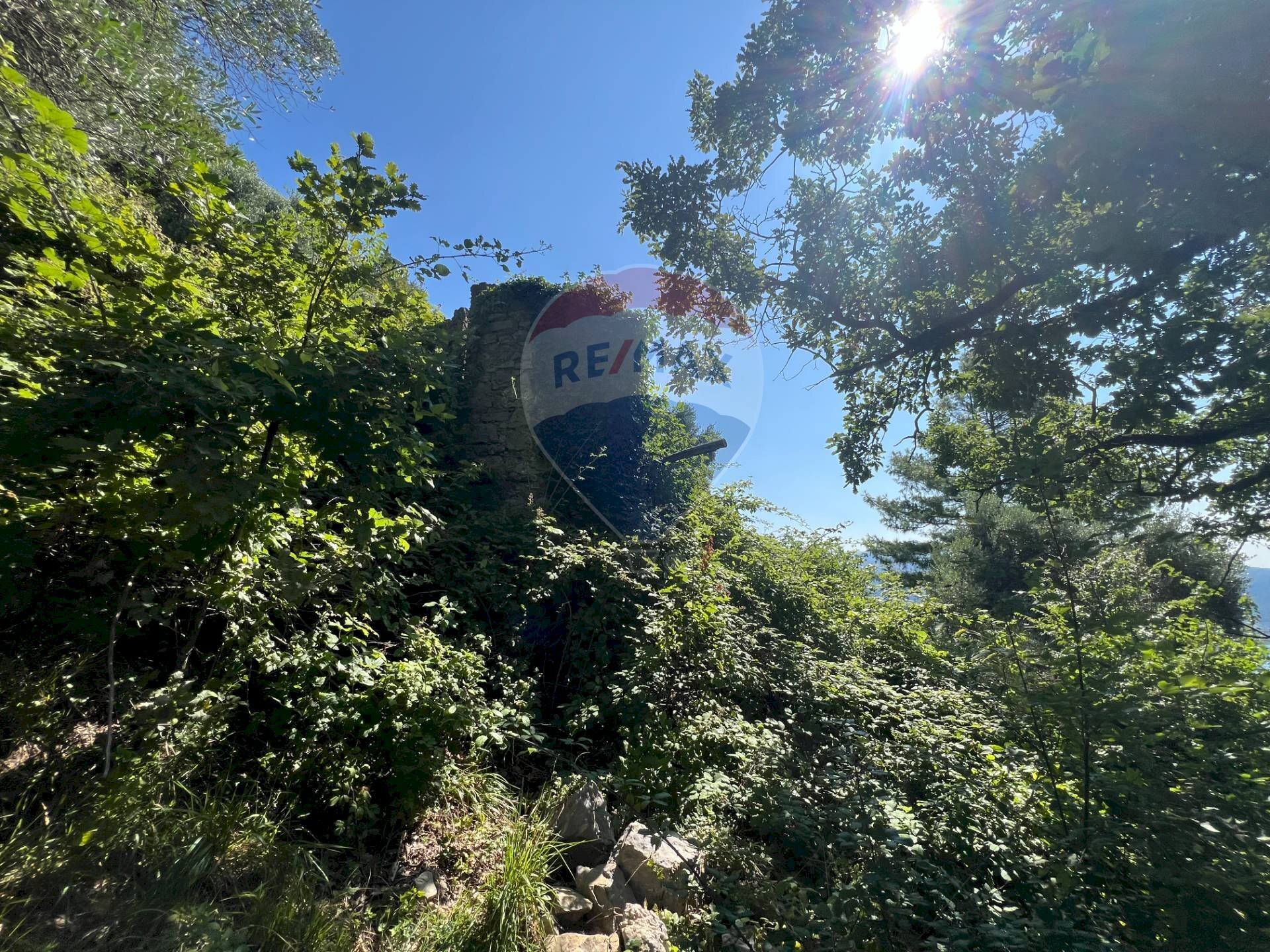 Edificio all\'aperto - Terreno agricolo VIA VASTI DI SOPRA, Predore - foto 3