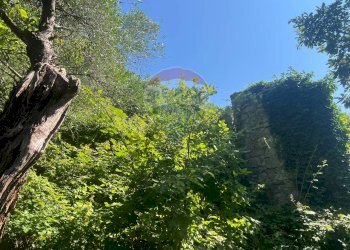 Giardino - Terreno agricolo VIA VASTI DI SOPRA, Predore - foto 5