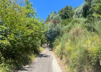 Giardino - Terreno agricolo VIA VASTI DI SOPRA, Predore - foto 6