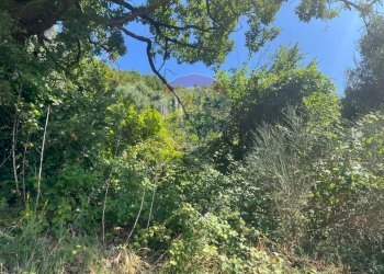 Non correlato - Terreno agricolo VIA VASTI DI SOPRA, Predore - foto 7
