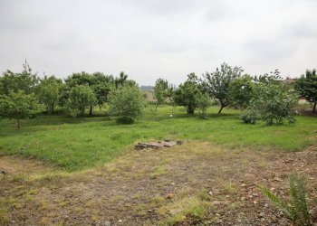 Foto 23 - Independent house Piazza Vittorio Veneto
 
23, Ronsecco - photo 23