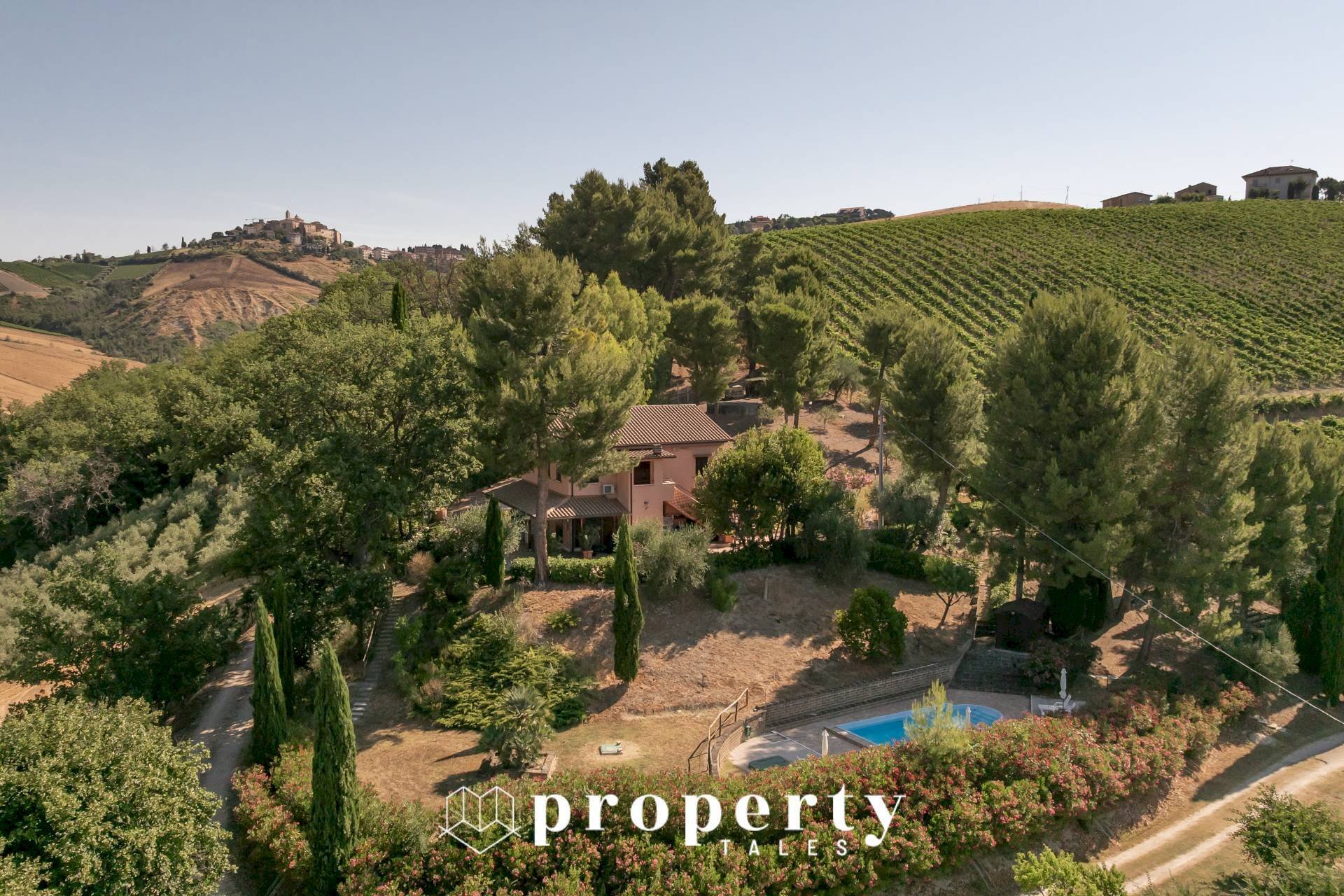 Foto 3 - Rustic Contrada Gallo
 
16, Cossignano - photo 3