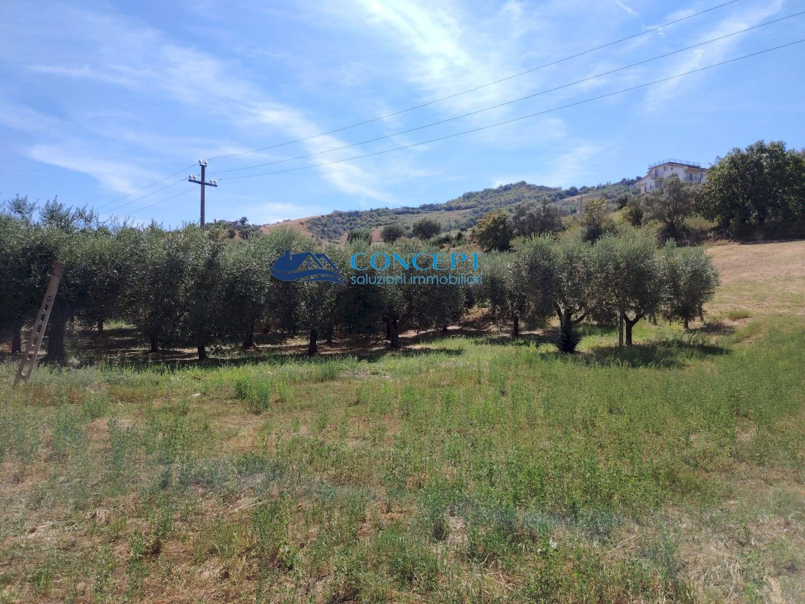 Foto 1 - Terreno edificabile via Vallecupa, Colonnella - foto 1