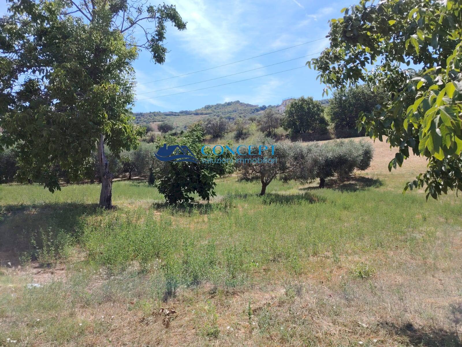 Foto 2 - Terreno edificabile via Vallecupa, Colonnella - foto 2