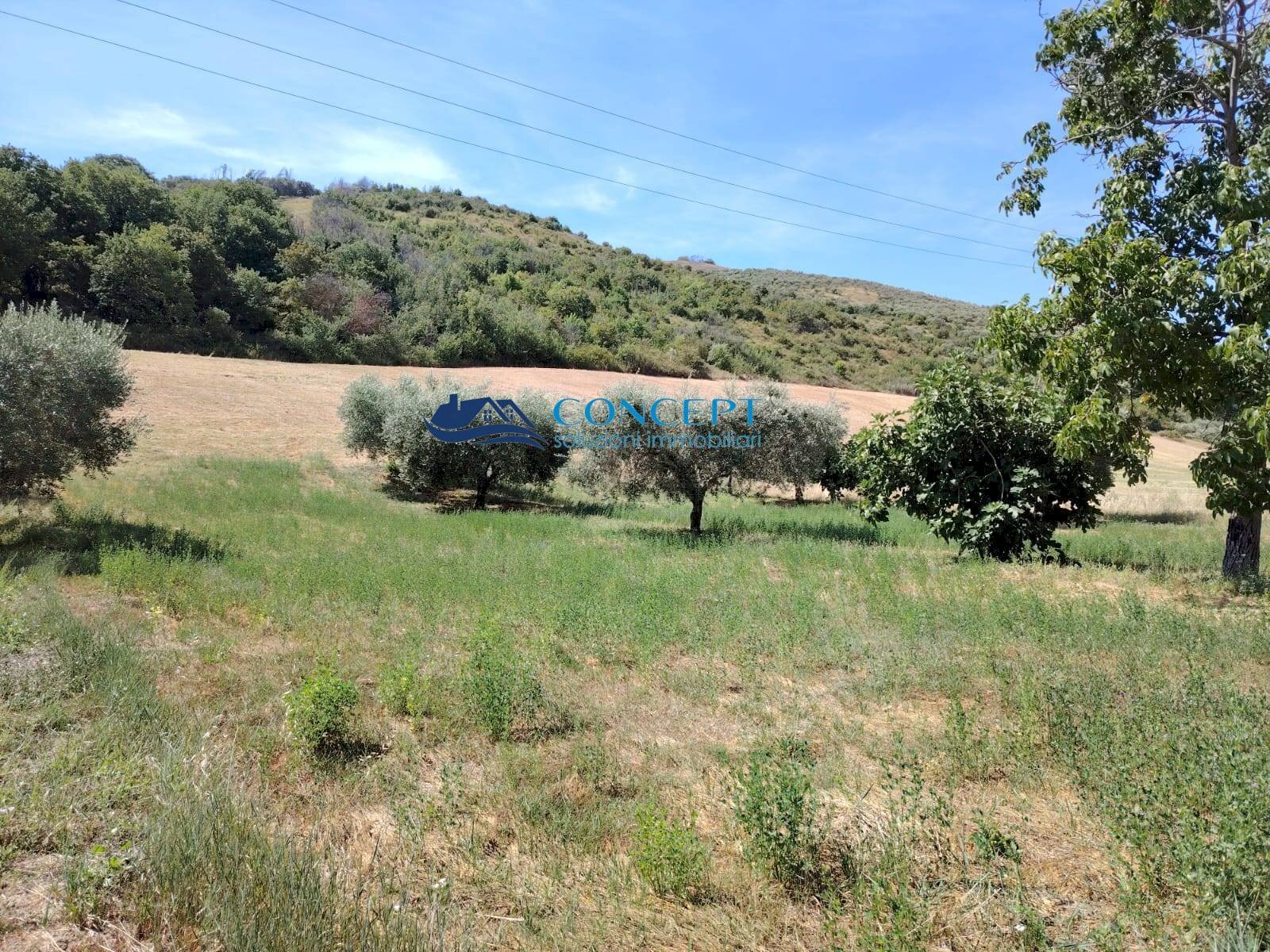 Foto 3 - Terreno edificabile via Vallecupa, Colonnella - foto 3