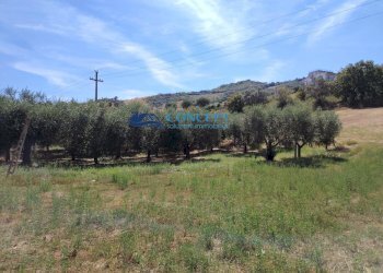 Foto 1 - Terreno edificabile via Vallecupa, Colonnella - foto 1